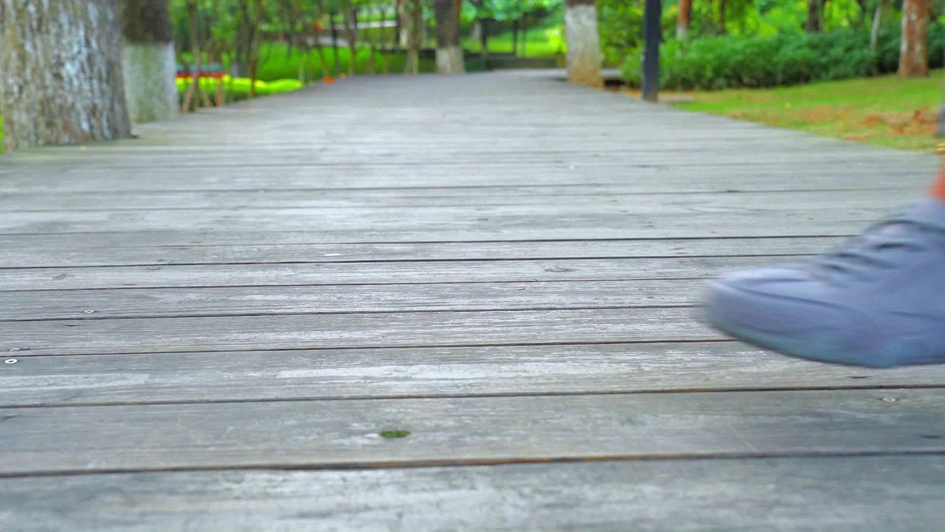 Nolwenn | Cozy Comfort Sneakers